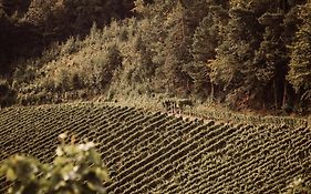 Weingut Kollerhof am Eichberg